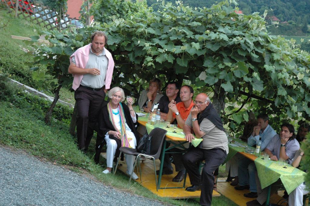 Ferienwohnungen Soravia Гамлиц Стая снимка